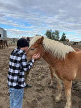 Load image into Gallery viewer, ESSENTIALS BLEND *GIVE-A-HOOT*- 2026 relaunch coming soon