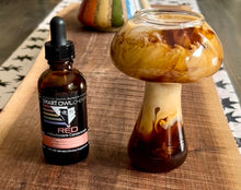 Load image into Gallery viewer, Medicinal mushrooms, mushroom coffee, mushroom tea, coffee alternative, beneficial mushrooms, mushroom benefits, mushroom extract, mushroom powder, organic, coffee, organic coffee, red drops, smart owl coffee, smart owlchemy